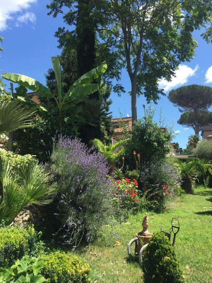 Edy House Castiglione In Teverina Exterior foto